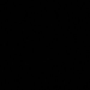 Meet your Posher, Terry